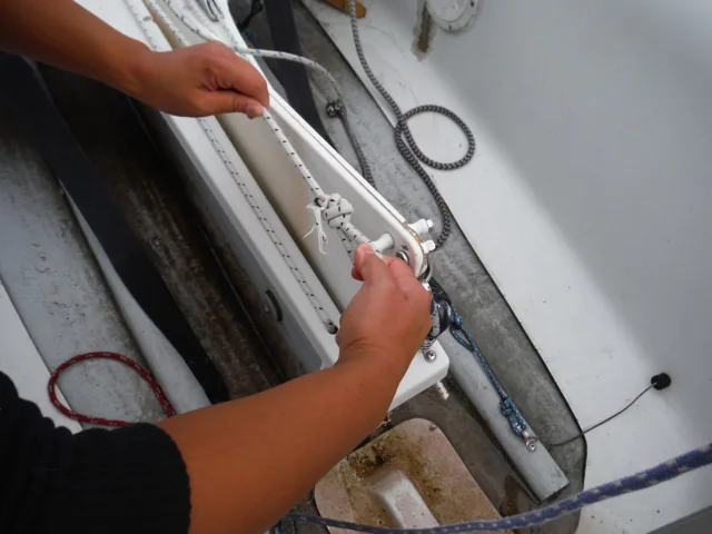Bungee looped over the centerboard horns